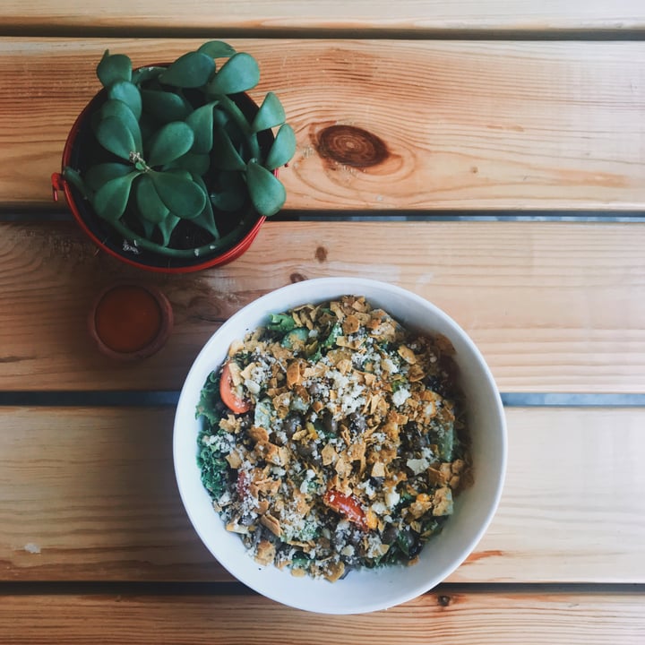 photo of Chinita Real Mexican Food Chinita Salad shared by @gurpreetkaur on  09 May 2018 - review