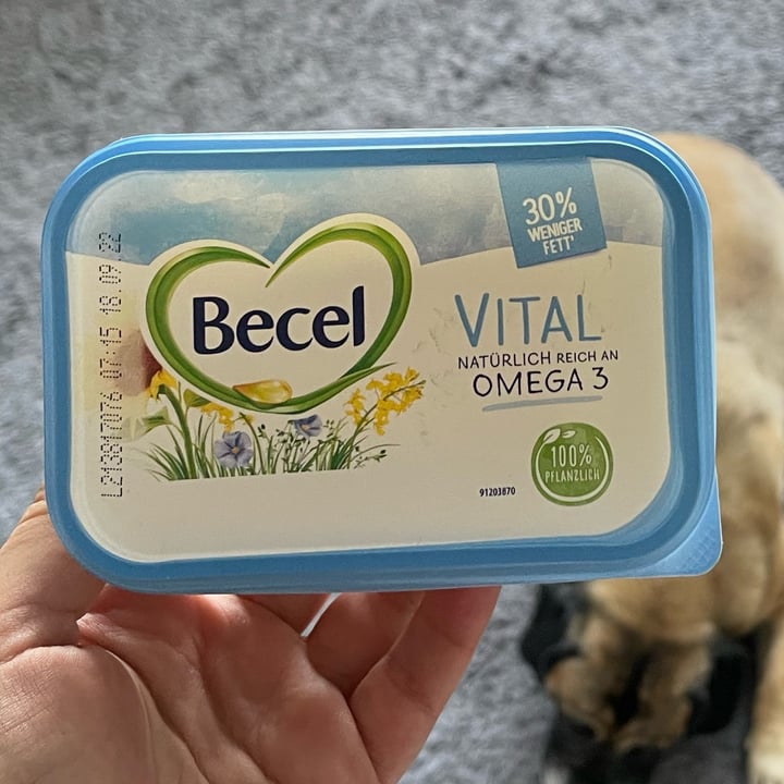 photo of Becel Becel Vital shared by @anneeinhorn on  24 Jul 2022 - review