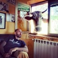massimomanni @massimomanni profile image