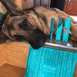 Thrive Causemetics