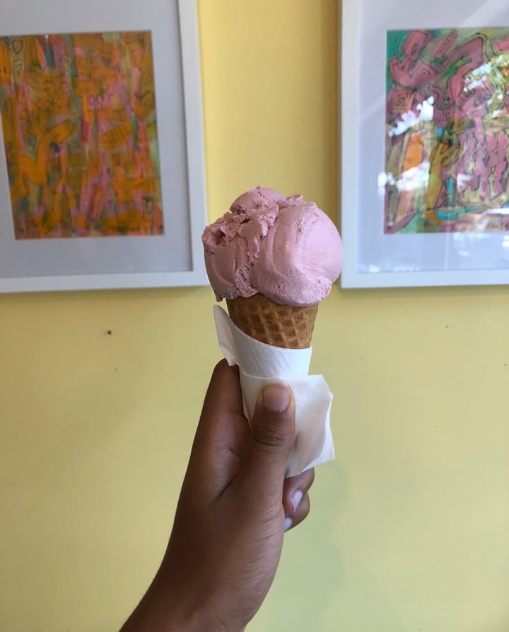photo of Crèmerie Dalla Rose Vegan Berry Ice Cream shared by @marjolaine on  15 Dec 2019 - review