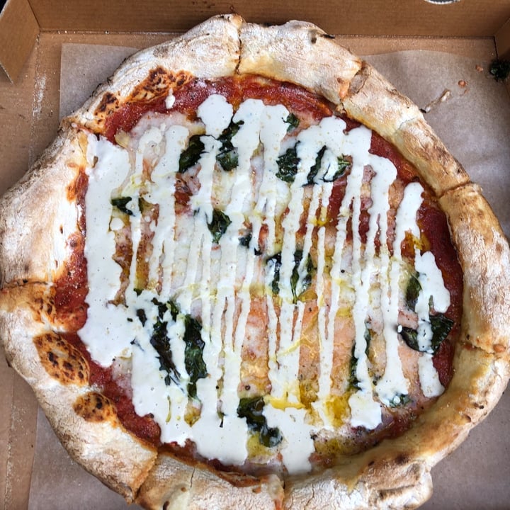 photo of Doctor Drooly Pizza Margherita shared by @trixi on  20 Sep 2020 - review