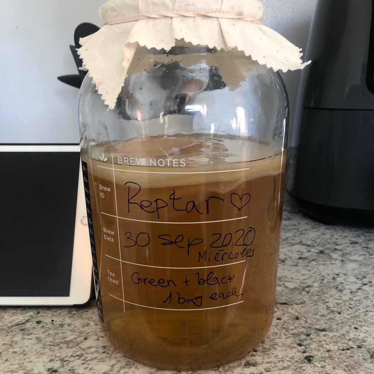 The Kombucha Shop Kombucha kit Reviews abillion