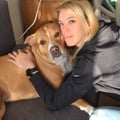 @unitedforanimals profile image