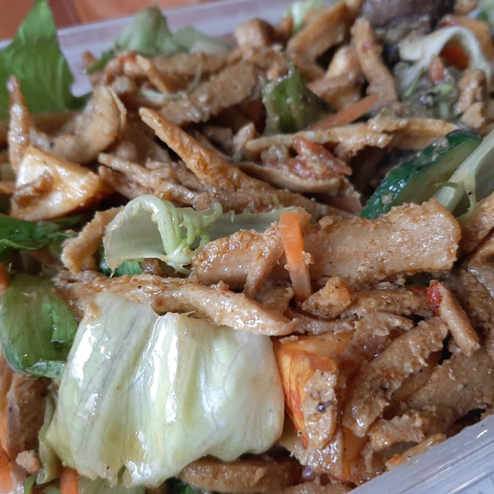 photo of Vivera Plant Shawarma Kebab shared by @ludoludo on  19 Apr 2022 - review
