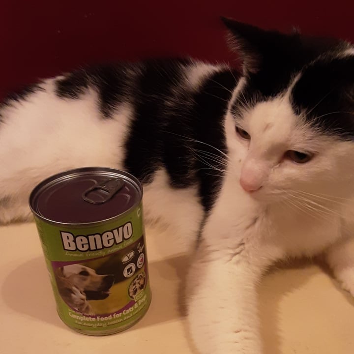 photo of Benevo Benevo Duo Complete Food for Cats and Dogs 369g shared by @momarkham on  13 Jun 2021 - review