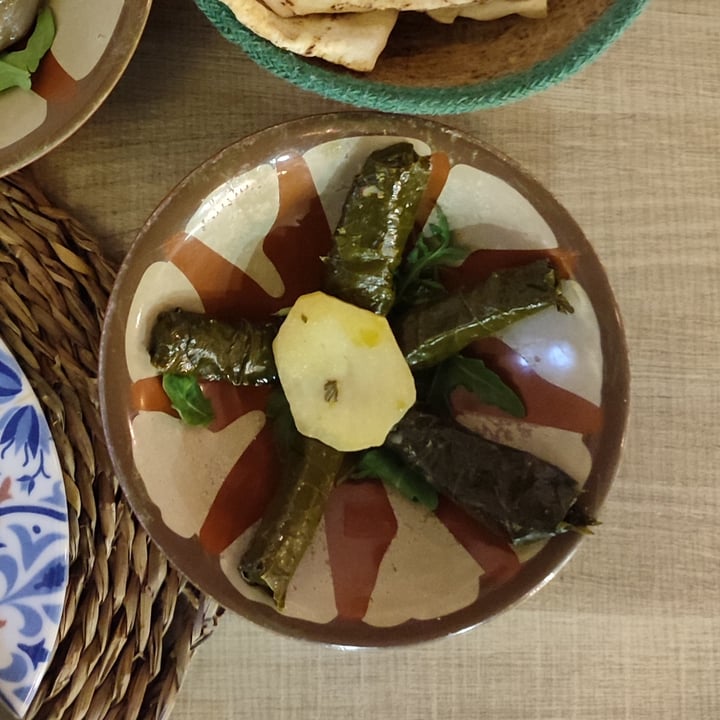 photo of Hommus - Snack Libanese warak enab (foglie di vite ripiene di riso) shared by @monica86 on  28 Sep 2022 - review