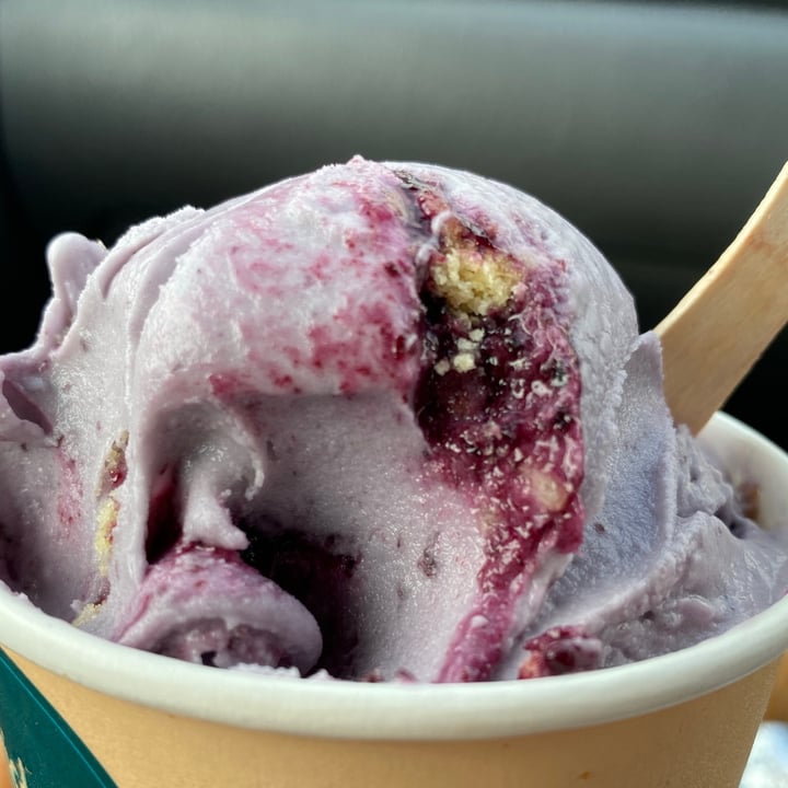 photo of Kristen's Kick-Ass Ice Cream - Heritage Market Blueberry shortcake shared by @greengabby on  12 Sep 2021 - review