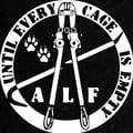 veganarchic @veganarchic profile image