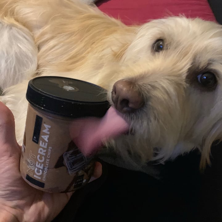 review photo of NotCo Not Icecream Chocolate Chips shared by @foodfigthers on 12 Oct 2020 - review