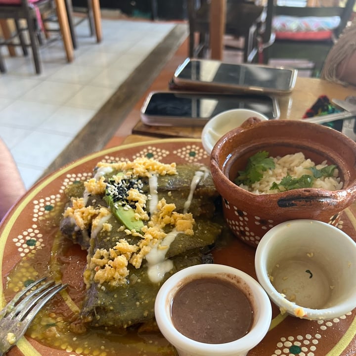 photo of Herbívoro Enchiladas shared by @karenaho1 on  03 Sep 2022 - review