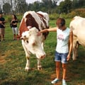 @sara1995 profile image
