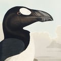 lawriephipps @lawriephipps profile image