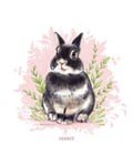 sweetbunny @sweetbunny profile image