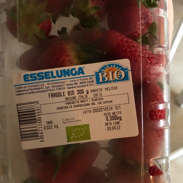 photo of Esselunga Bio Fragole shared by @elecuc on  14 Apr 2022 - review