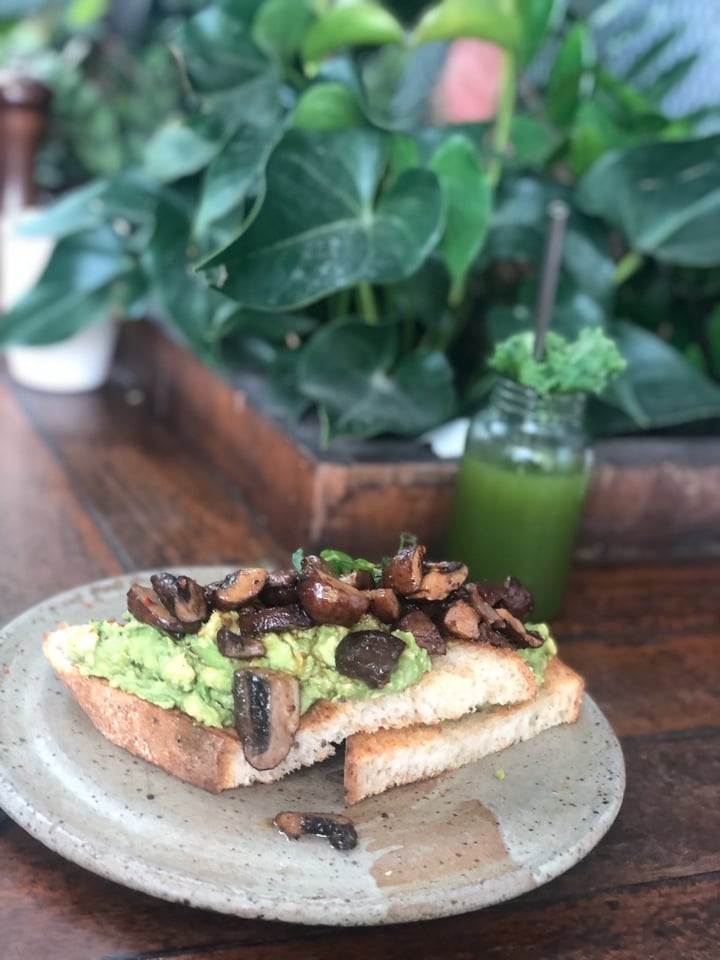 photo of Common Man Coffee Roasters Marmite Mushrooms shared by @delphinesupanya on  01 Dec 2019 - review