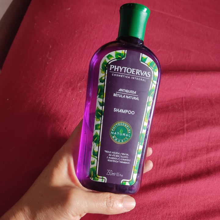 photo of Shampoo phytoervas Antiqueda shared by @leika2510 on  11 May 2022 - review