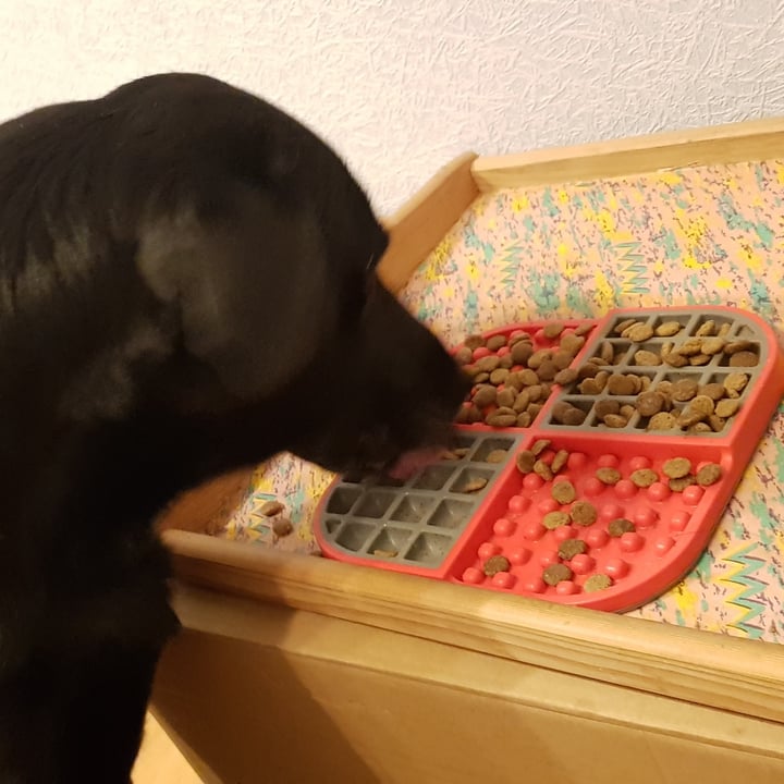 photo of Vegdog Green Crunch shared by @kananyctous on  06 Dec 2022 - review