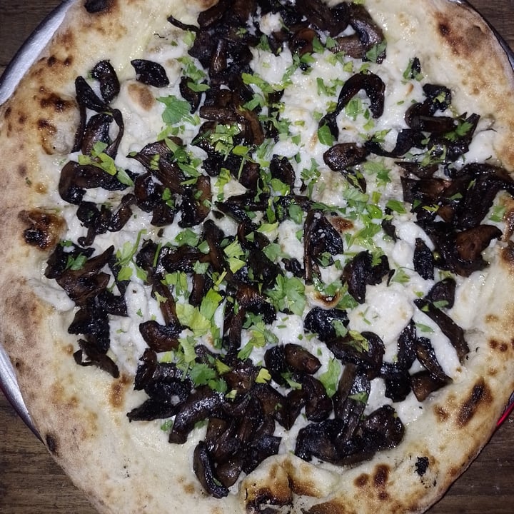 photo of Lado V Pizza de Hongos shared by @venecia1 on  09 Mar 2022 - review