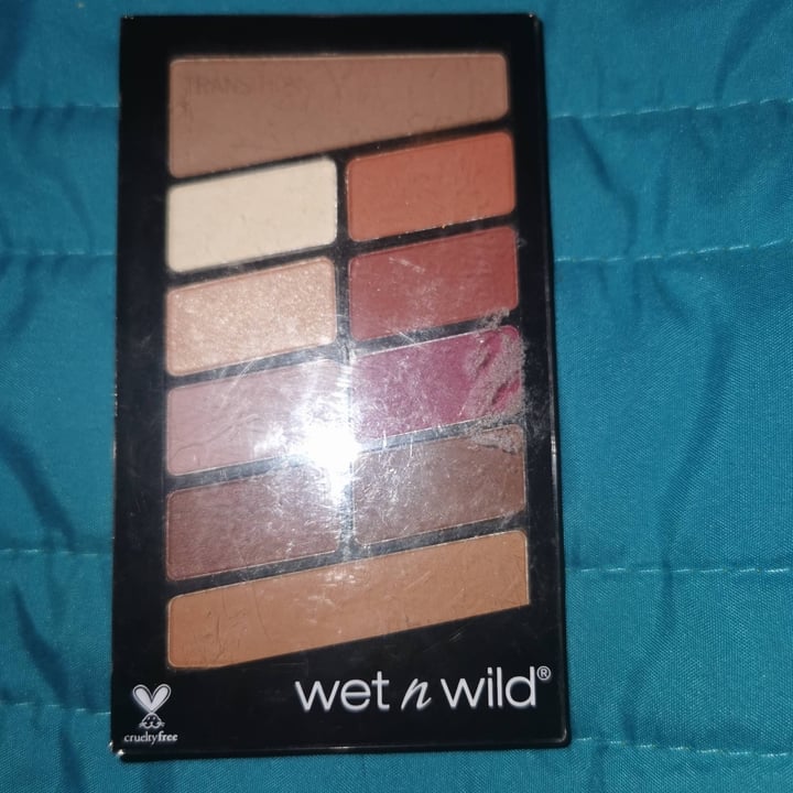 photo of Wet n Wild Beauty Eyeshadow Palet shared by @emilylo on  24 Jun 2021 - review