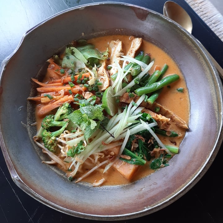 photo of Moksa Plant-based Restaurant & Permaculture Garden Laksa shared by @plantsfeelthough on  27 Jun 2020 - review