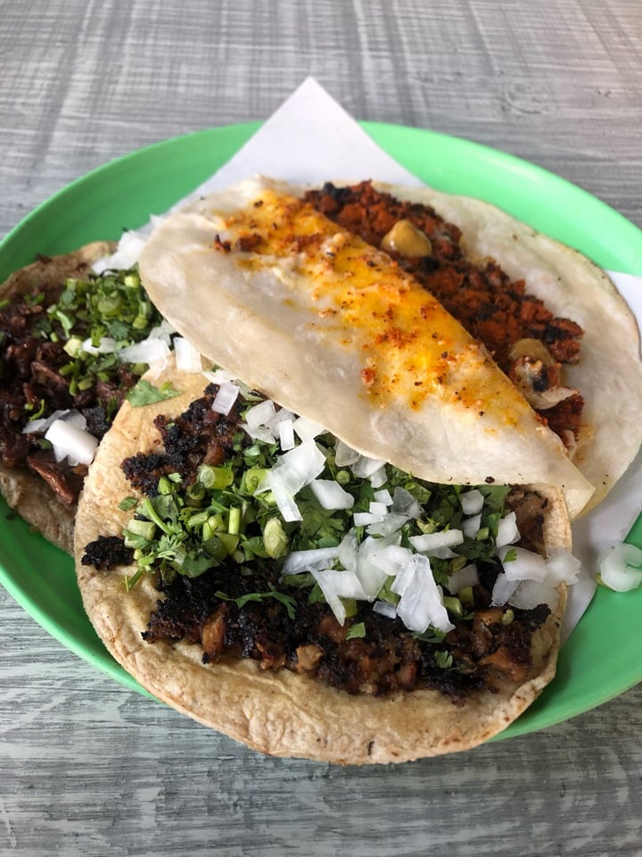photo of Malportaco Tacos shared by @instintovegano on  11 Jun 2019 - review
