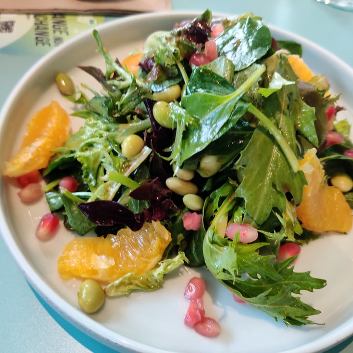 photo of Green Common Singapore Pomegranate and Orange Salad shared by @fourdollars on  30 Nov 2021 - review