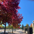 luisaveg @luisaveg profile image