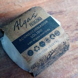 Algas patagonia
