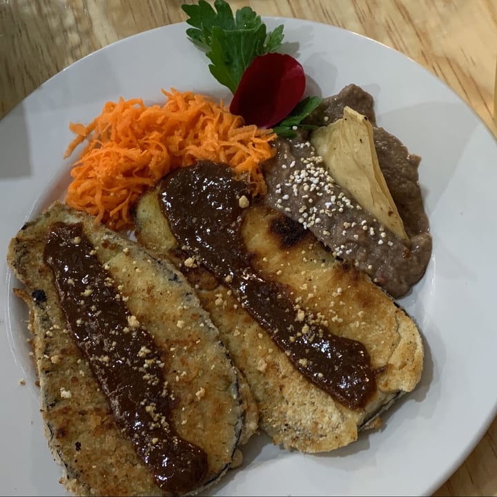 photo of Mi Dulce Jacalito Milanesa shared by @magicalvegangirl on  14 Jun 2022 - review
