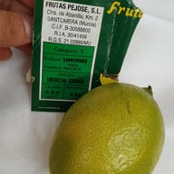 Frutas Pejose