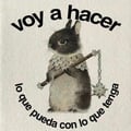 viviana-ripe @viviana-ripe profile image