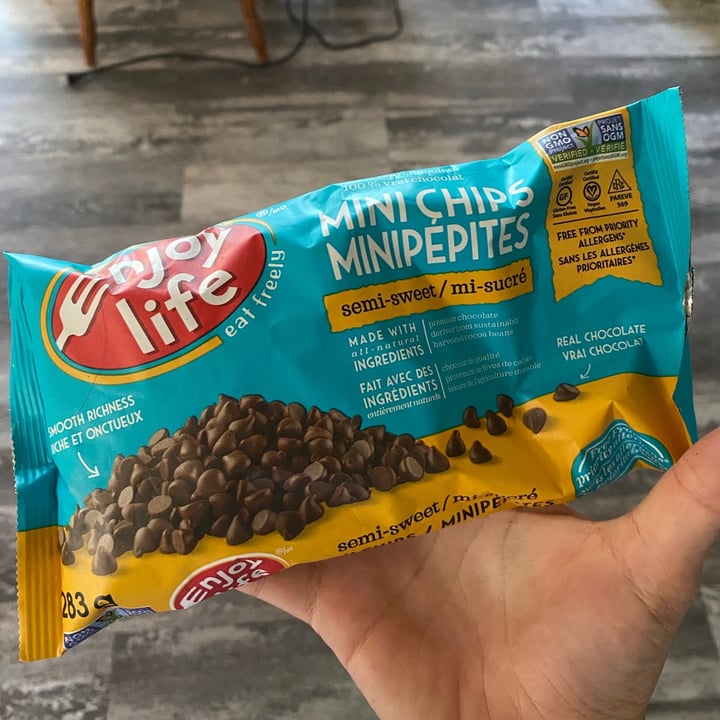 photo of Enjoy Life Semi-Sweet Chocolate Mini Chips shared by @jaqsschuler on  11 Aug 2021 - review