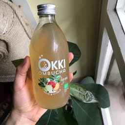 Lokki  kombucha