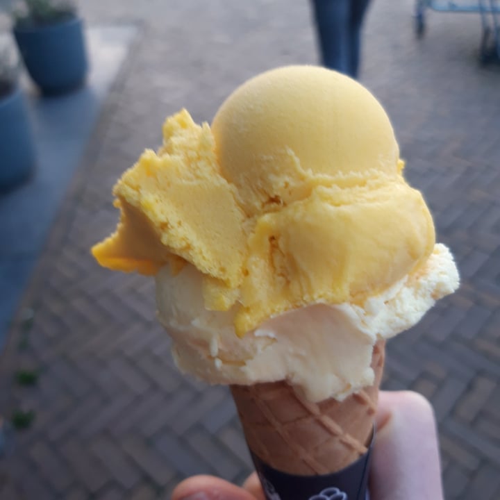 review photo of Ice cream Luciano Heemstede - Aerdenhout Ice Cream 100% Plantbased shared by @chiariz94 on 12 Apr 2022 - review