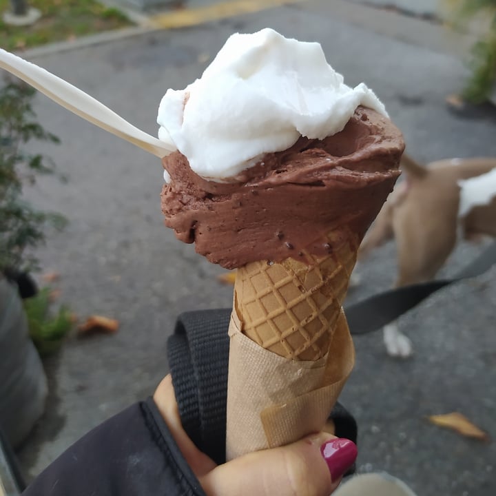 photo of Pure and Bio Rimini Gelato Gusto Browney shared by @valy on  07 Nov 2022 - review