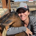 @francesfriedland profile image
