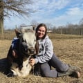 kateloveskale @kateloveskale profile image