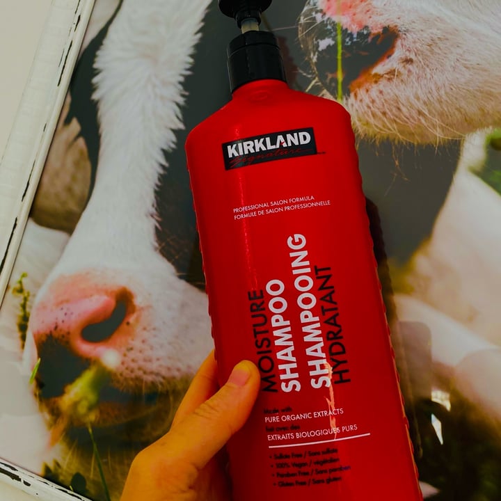 Kirkland Signature Kirkland Moisture Shampoo Review abillion