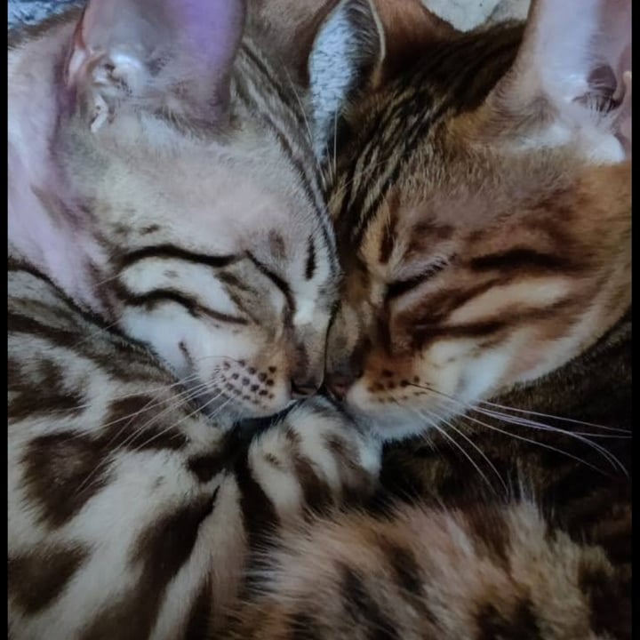 review photo shared by @erypat on 07 Apr 2022 - post