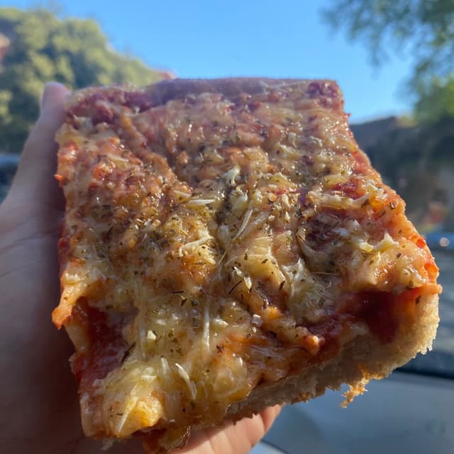 Foto del piatto “Pizza margherita”