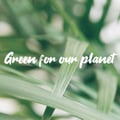 @greenforourplanet profile image