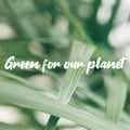 greenforourplanet @greenforourplanet profile image