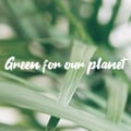 avatar of greenforourplanet