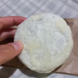veganopolis
