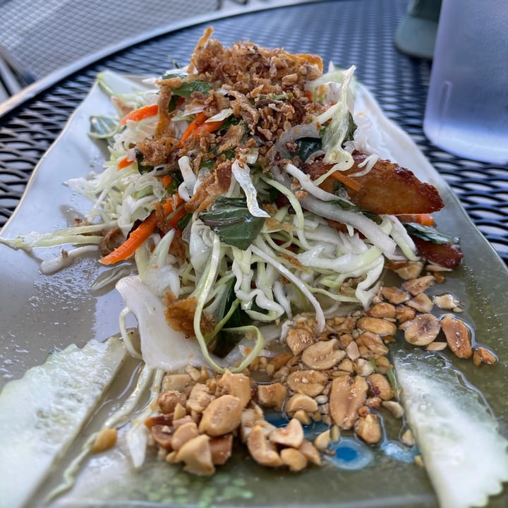 photo of Saigon Village Restaurant “Chicken” Salad shared by @veganpetite on  12 Jul 2021 - review