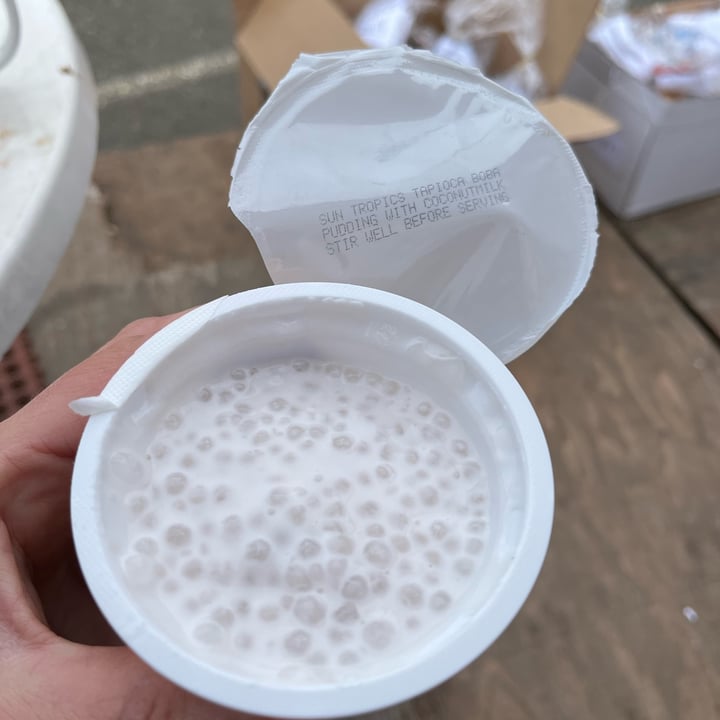 Sun Tropics Tapioca Boba Pudding with Coconut Milk Review abillion