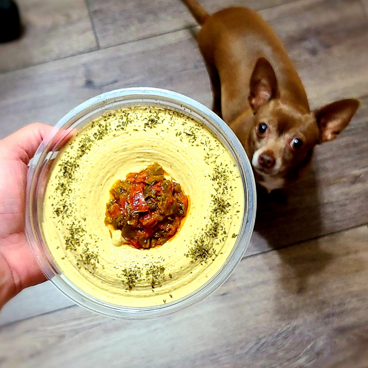 Sabra Spinach and Artichoke Hummus Reviews abillion