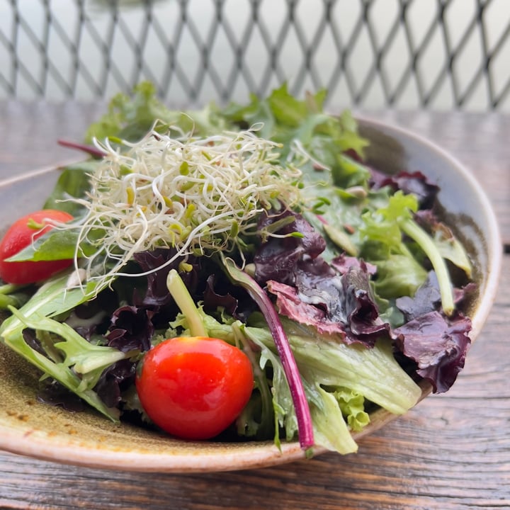 photo of Hans Im Glück German Burgergrill Geleit Mixed Asian Salad shared by @vegan-ravana on  01 Jul 2022 - review