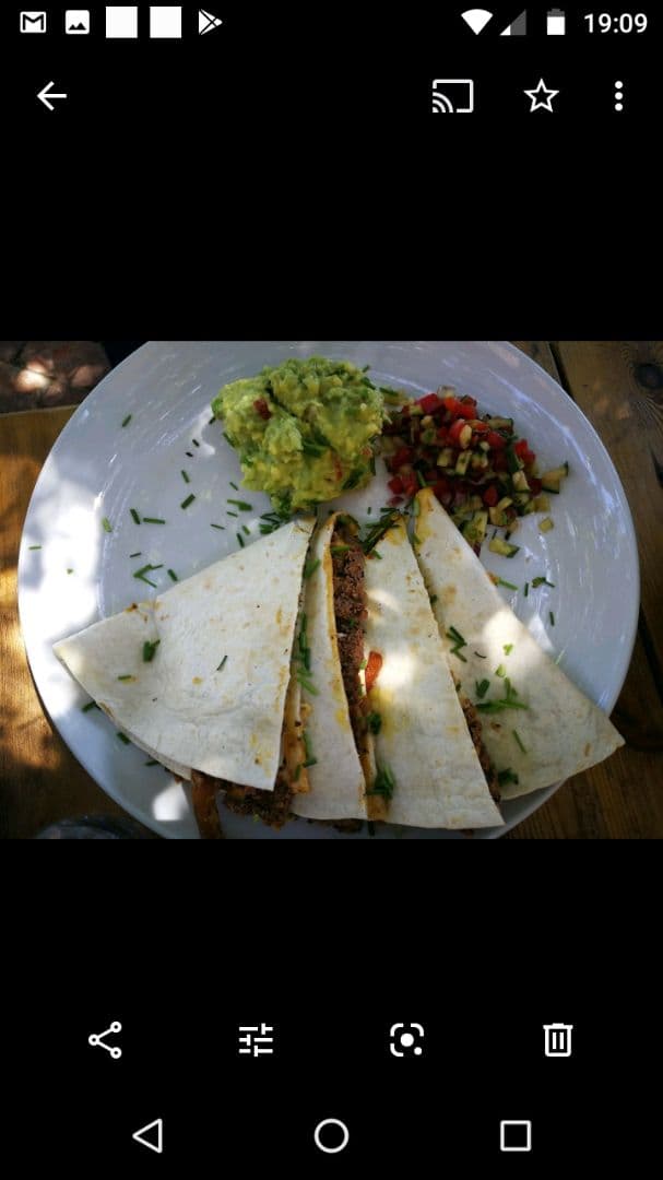 Photo of the dish “Quesadilla”